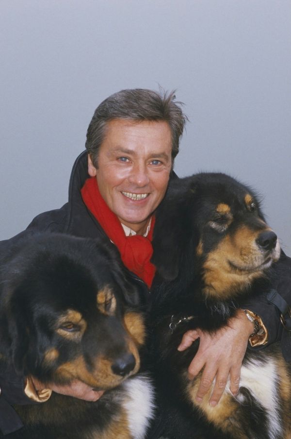 Ален Делон фото с собаками Alain Delon photo dogs