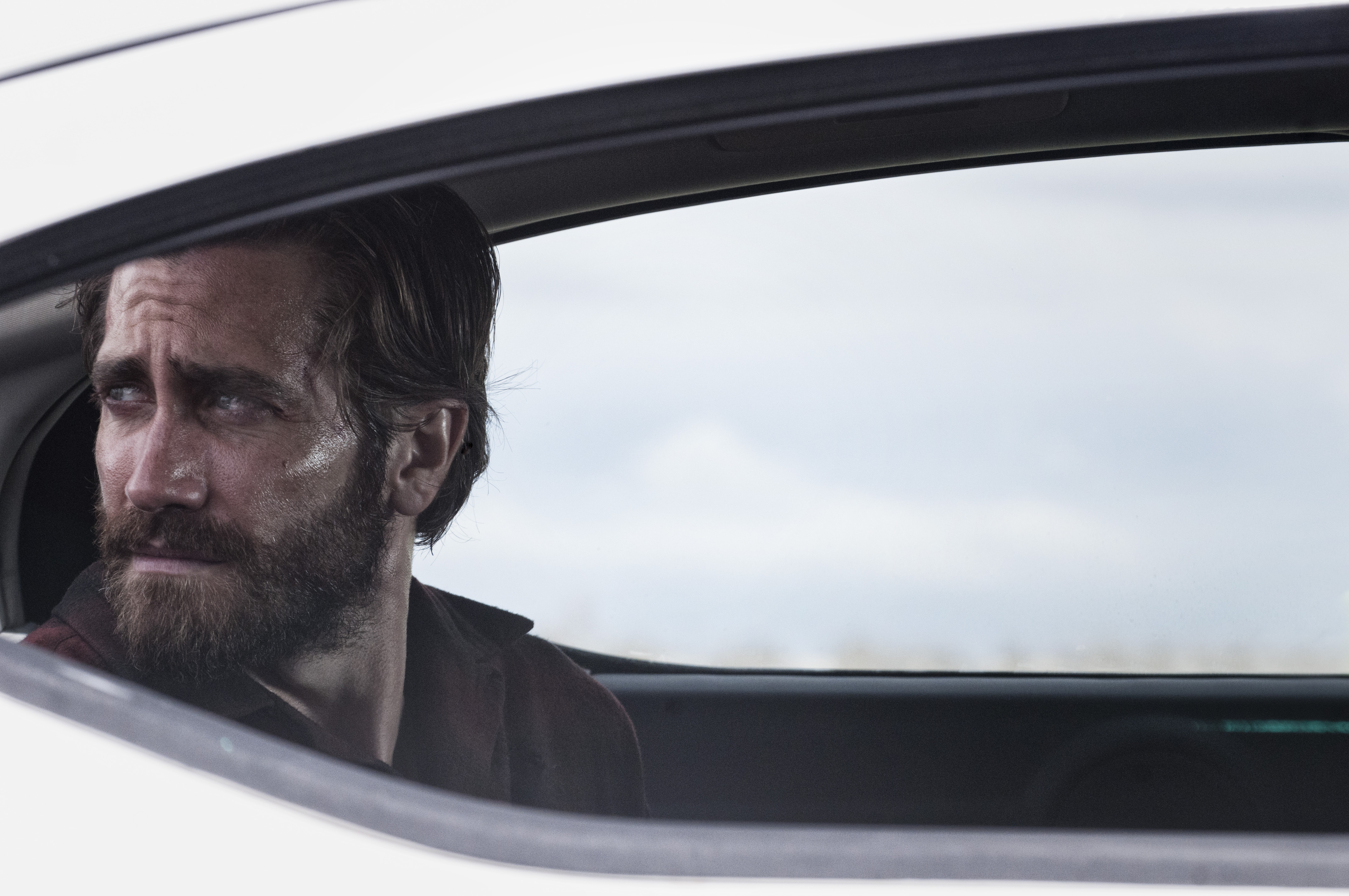 Film Nocturnal Animals Full-length 2016 Mustang