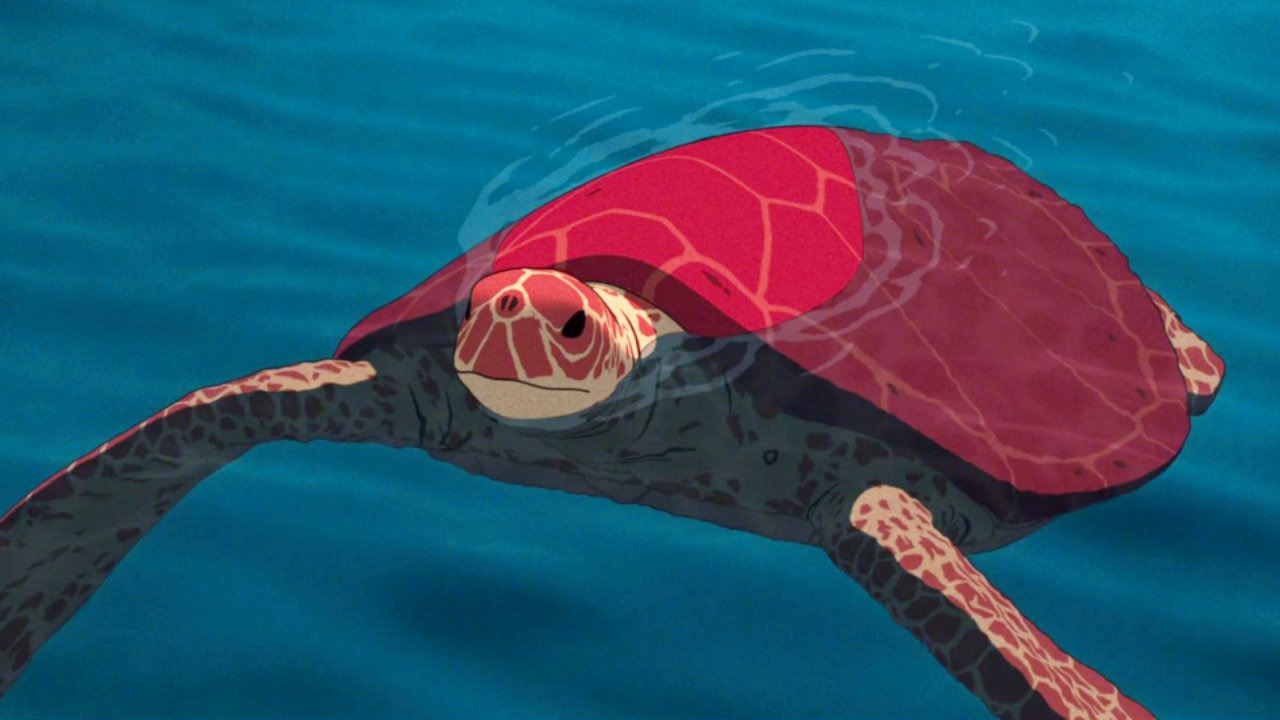 красная черепаха кадр 1
